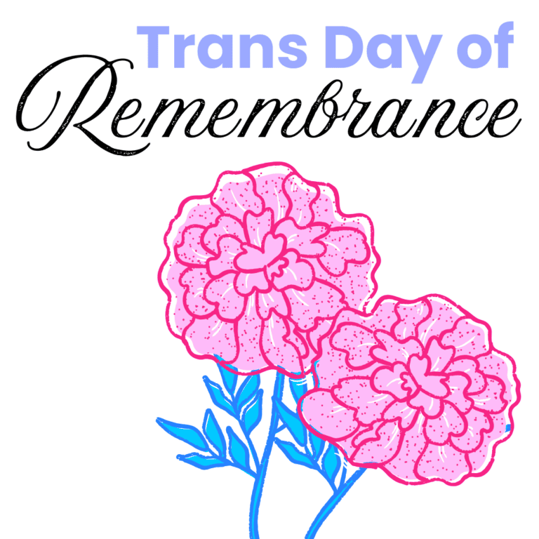 Grafik. Da steht: "Trans day of Remembrance" Illustration von zwei Nelken in den Farben der trans-Flagge. Hellblau und hellrosa.