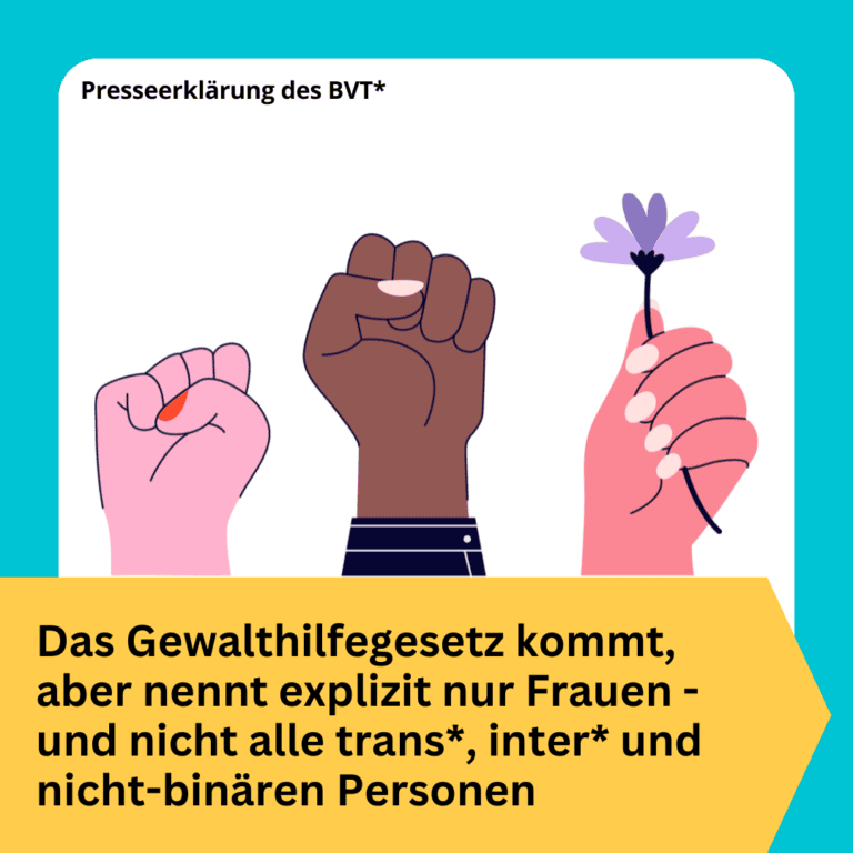 BVT Grafik. In der Mitte sind drei in den Himmel gereckte Fäuste zu sehen. Eine hält eine Blume in der Hand. Sie stehen für einen großen Erfolg: Das Gewalthilfegesetz kommt. Es nennt aber explizit nur Frauen im Gesetzestext. Unter den gezeichneten Händen steht daher: "Das Gewalthilfegesetz kommt, aber nennt explizit nur Frauen und nicht alle trans*, inter* und nicht-binären Personen". Schwarze Schrift auf gelbem Hintergrund. Die Kachel hat einen blauen Rahmen.